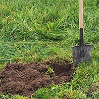 In Wiese steckender Spaten neben Aushub