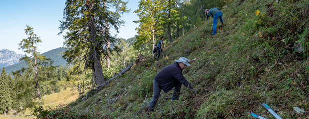 Freiwilligencamp der Biosphärenregion Berchtesgadener Land