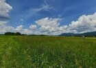 Link öffnet große Version des Bildes mit Beschreibung