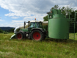 Sauggut Beerntung 2021