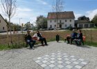 Rondell im Zentrum, eingesähte Blühfläche im Hintergrund