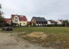 Blühfläche Ausgangszustand
