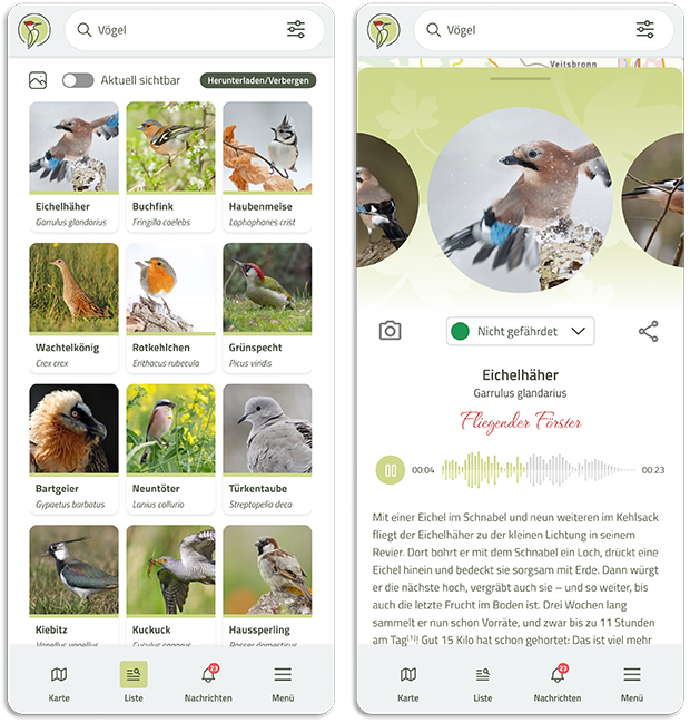 Smartphone-Anzeige der App-Suche (Beispiel Vogelarten) und App-Auswahl (Eichelhäher)
