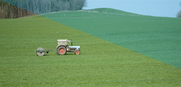 Traktor mit Walze auf Grünlandfläche