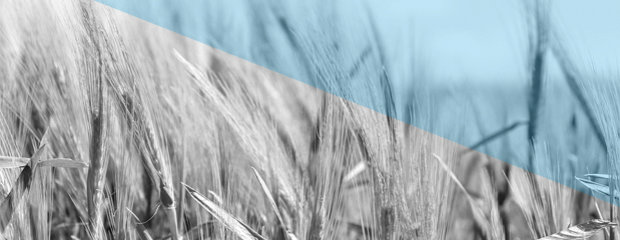 Ernährung und Landwirtschaft Ernährung und Landwirtschaft