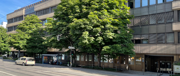 Bayerstrasse 600x265